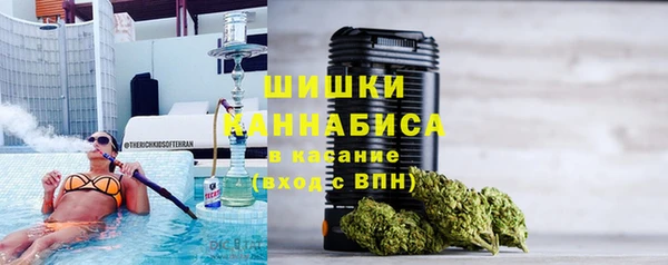 гидра Верхний Тагил