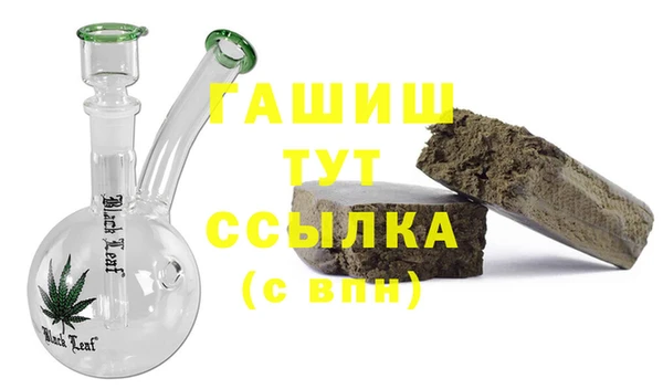 гидра Верхний Тагил