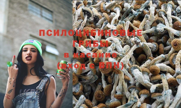 мяу мяу кристалл Верея