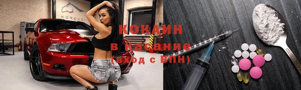 гидра Верхний Тагил