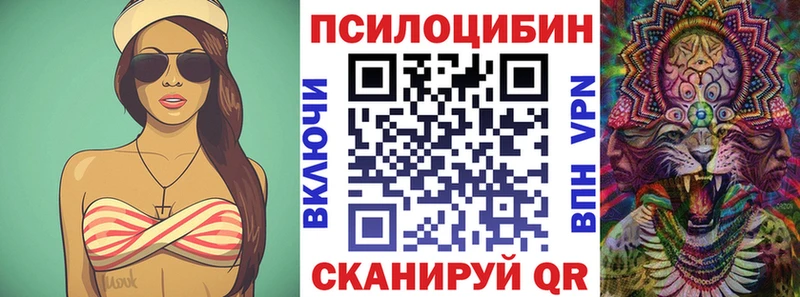 наркотики Юхнов Псилоцибиновые грибы мицелий